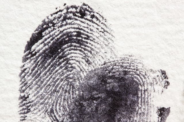 Onderzoek criminaliteit en betrokkenheid notarissen